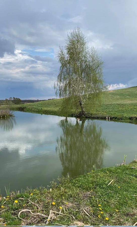 Agroturystyka Nad Jeziorem Silickim Ilinscy Silice Luaran gambar