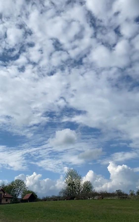 Agroturystyka Nad Jeziorem Silickim Ilinscy Silice Luaran gambar