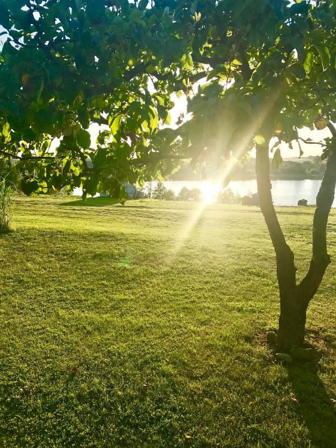 Agroturystyka Nad Jeziorem Silickim Ilinscy Silice Luaran gambar